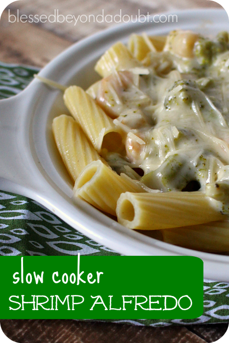 Make this easy shrimp alfredo pasta in your slow cooker. It pleases everyone.