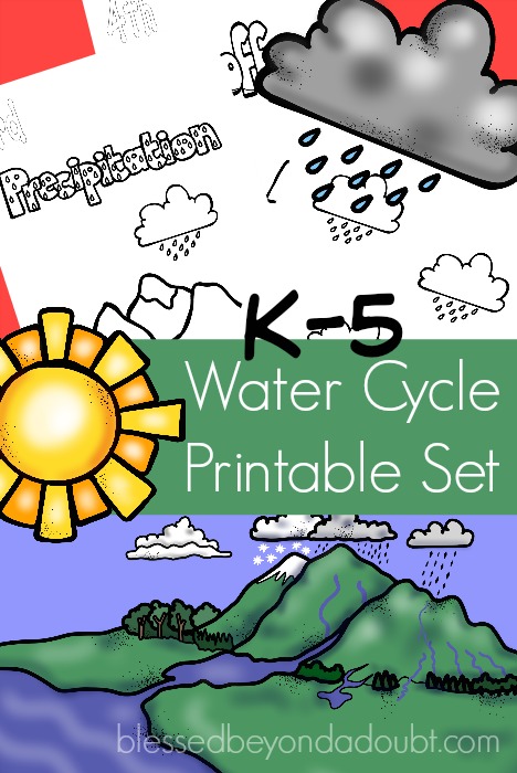 The Water Cycle_featured