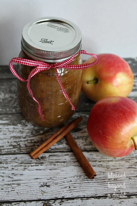 This DIY Apple Pie Body Scrub is the bomb! It's simply divine soaking in the hot bath with the aroma of cinnamon apple pie.