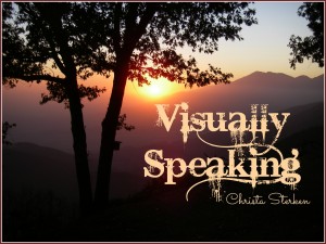 visuallyspeaking