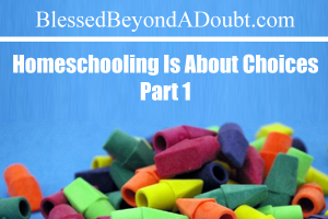 blessedbeyondadoubt homeschooling is about choices part 1 image