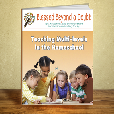 Teaching Multi-Levels in the Homeschool eBook cover 3d 400x400