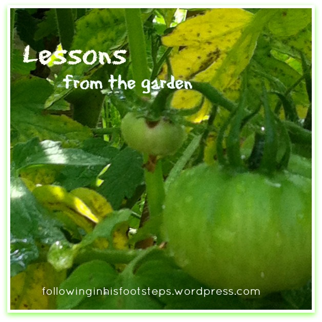 picmonkey-collage-fihf-lessons-from-the-garden