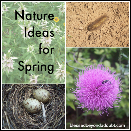 Nature Ideas for Spring