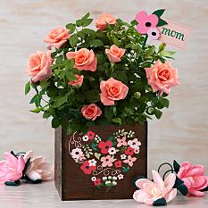 Hurry and order your Mother's Day Flowers today! And mark it off your list!