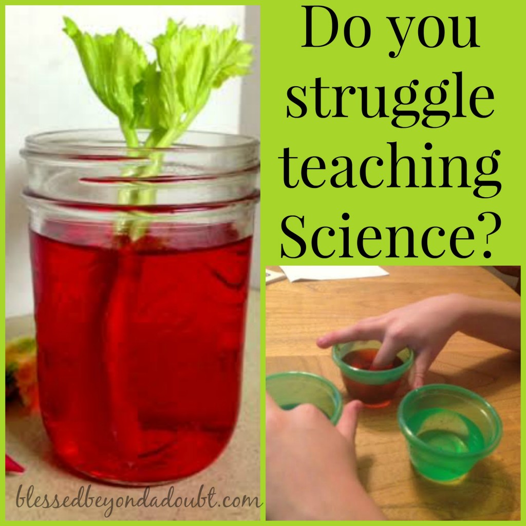 Have you neglected teaching science in your homeschool, too?