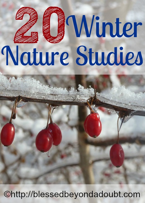 Ideas and resources for winter nature studies