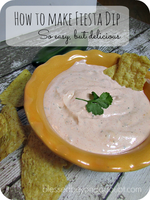 Oh so easy Mexican Salsa Dip! It only has 3 ingredients!