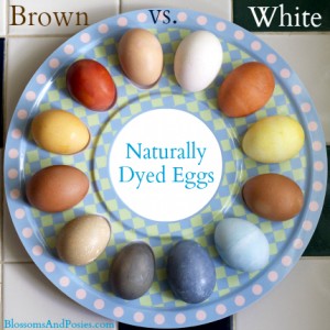 naturally-dyed-eggs
