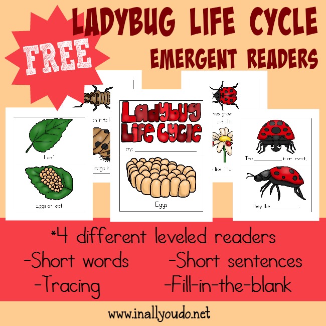 Kids will enjoy learning about the Ladybug Life Cycle with these fun and leveled readers!! {4 levels} :: www.blessedbeyondadoubt.com