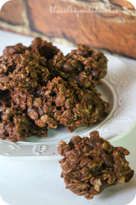 The best chocolate oatmeal cookies. Oh my!