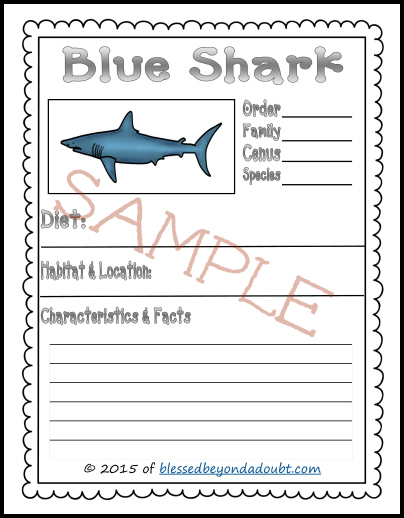 shark notebook pages