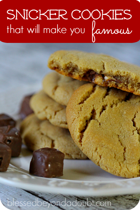 The best snicker cookies that will make you famous!