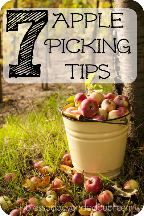 apple picking tips