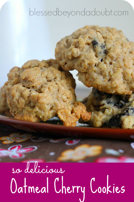 These are wonderful! Try these oatmeal cherry cookies today!