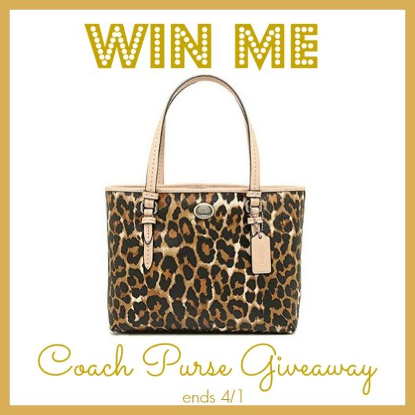 Hurry and enter to win this adorable Coach purse for the spring. Giveaway ends on 4/1!