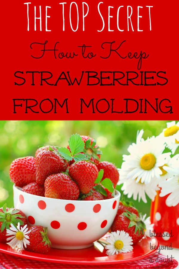 Learn the top secret on how to keep your strawberries from molding. You already have the ingredient at home. This trick on how to keep your strawberries lasting longer will save you money.