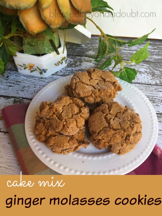 This ginger molasses cookie recipe is so easy! It calls for a spice cake mix. So good!