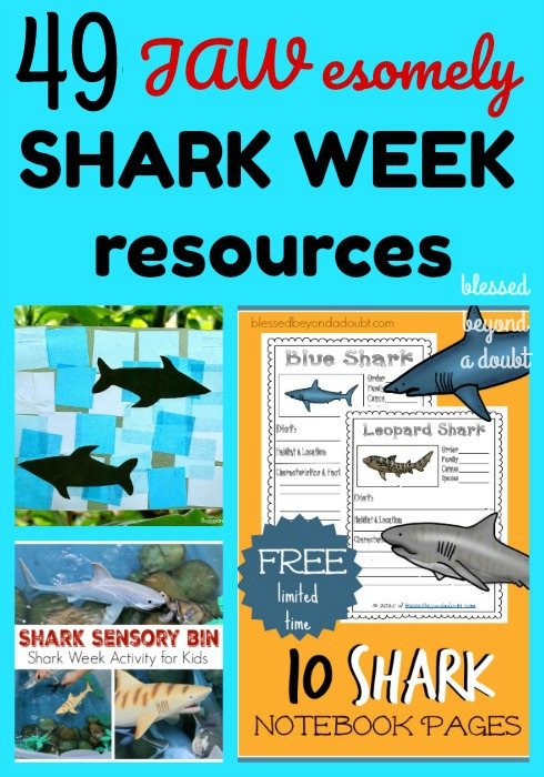Learn all about sharks with these shark week resources! There are over 50 shark week resources to make Shark Week JAWsome! #sharkweek 